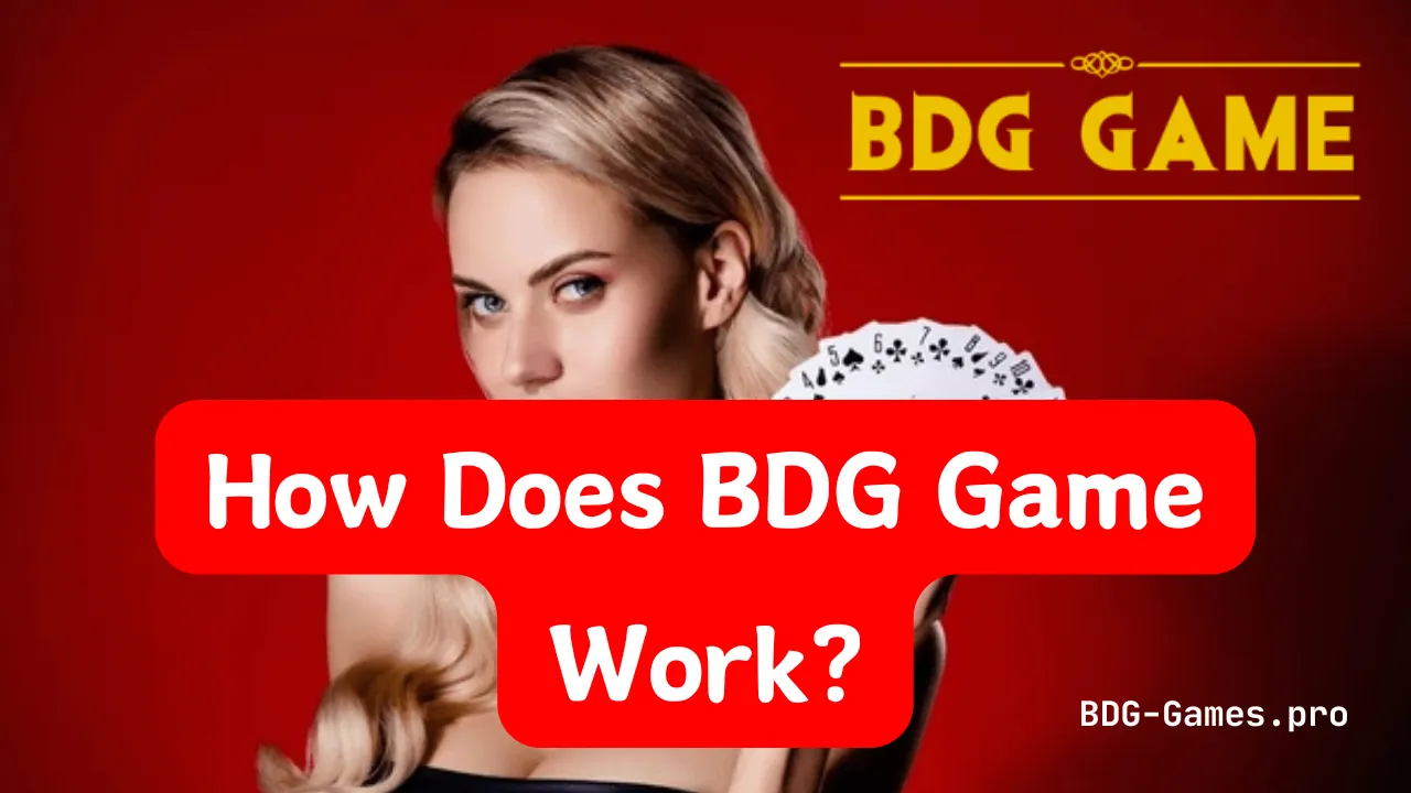 How Does BDG Game Work?